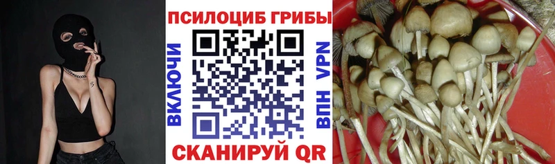 Псилоцибиновые грибы мухоморы  купить наркотики цена  blacksprut вход  Покров 