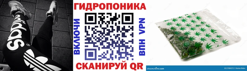 где купить   Покров  Бошки марихуана Amnesia 